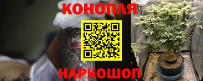 сатива Коммунар