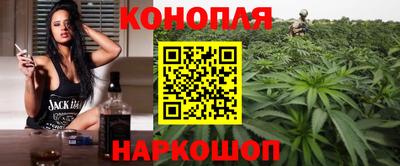 сатива Коммунар
