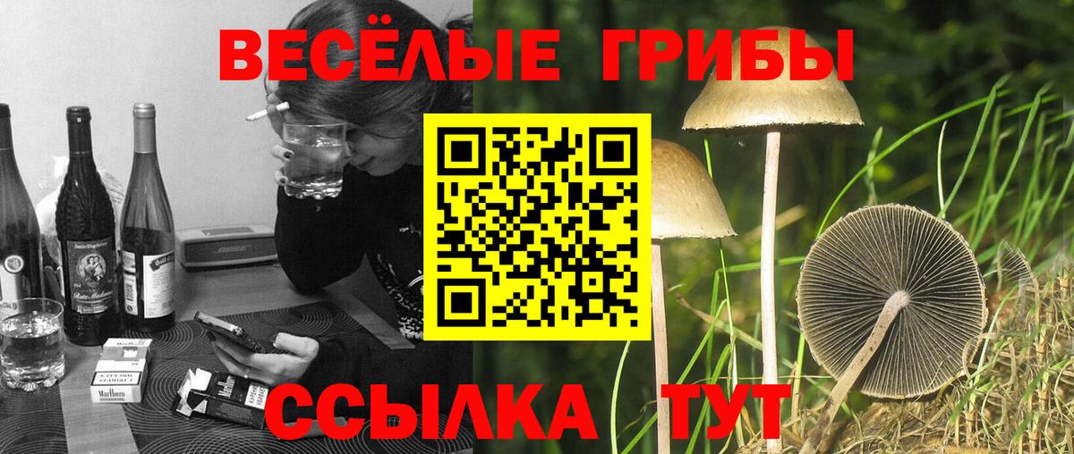 Керчь  Галлюциногенные грибы MAGIC MUSHROOMS  Вход с VPN 