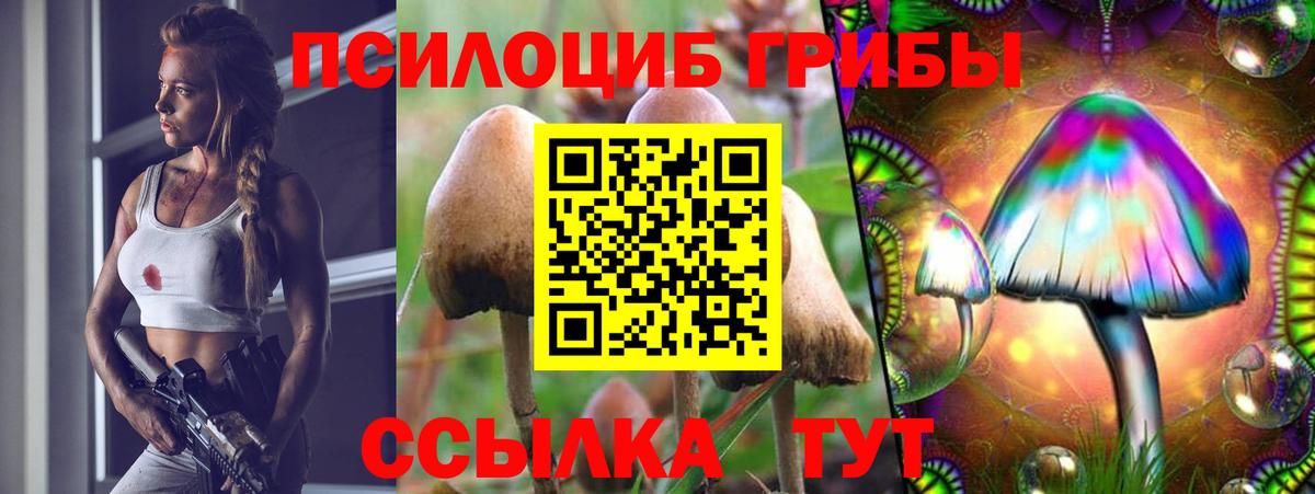 Галлюциногенные грибы GOLDEN TEACHER Керчь